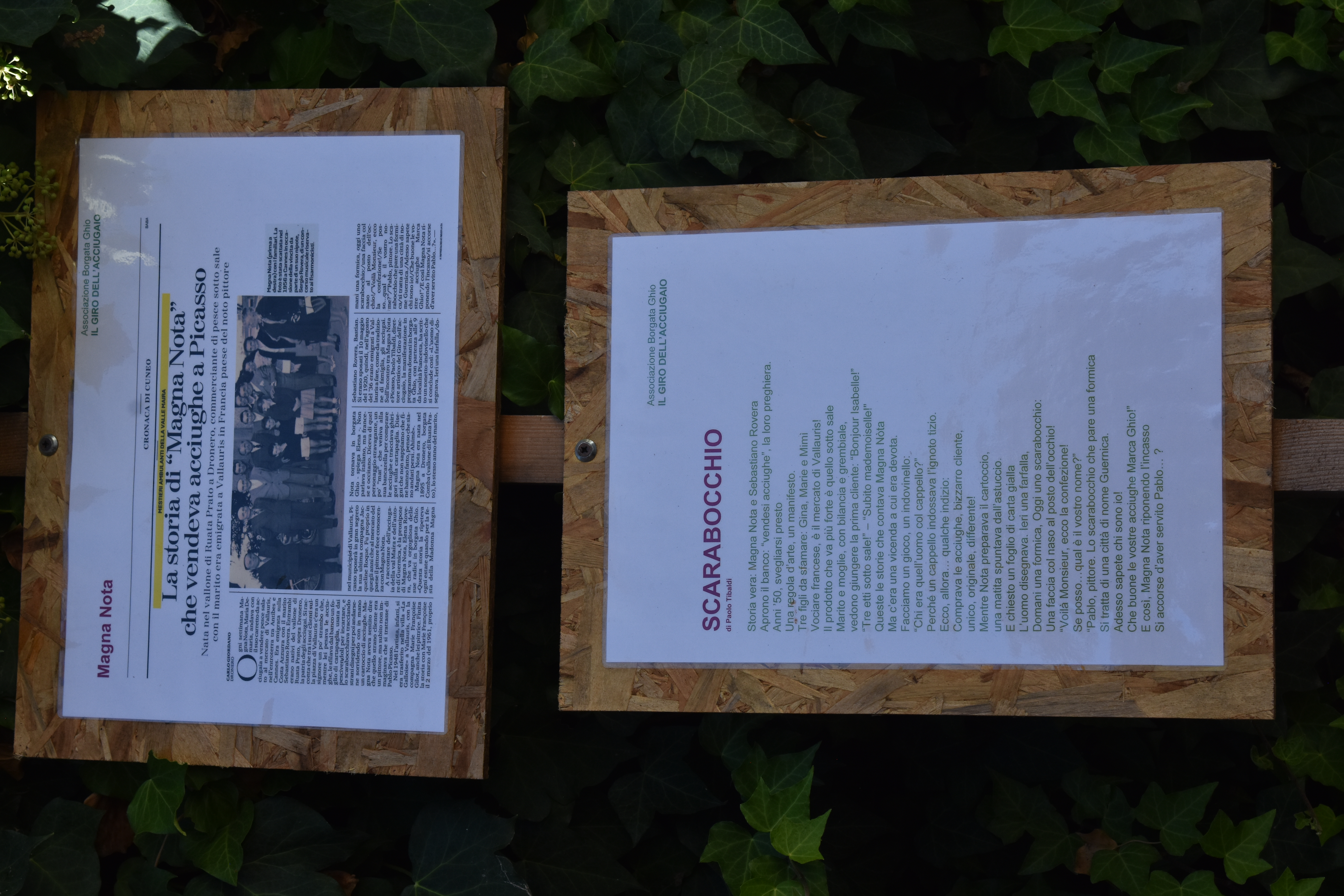 Magna Nota  
Maria Demaria, nata nel 1895, che vendeva le acciughe a Picasso