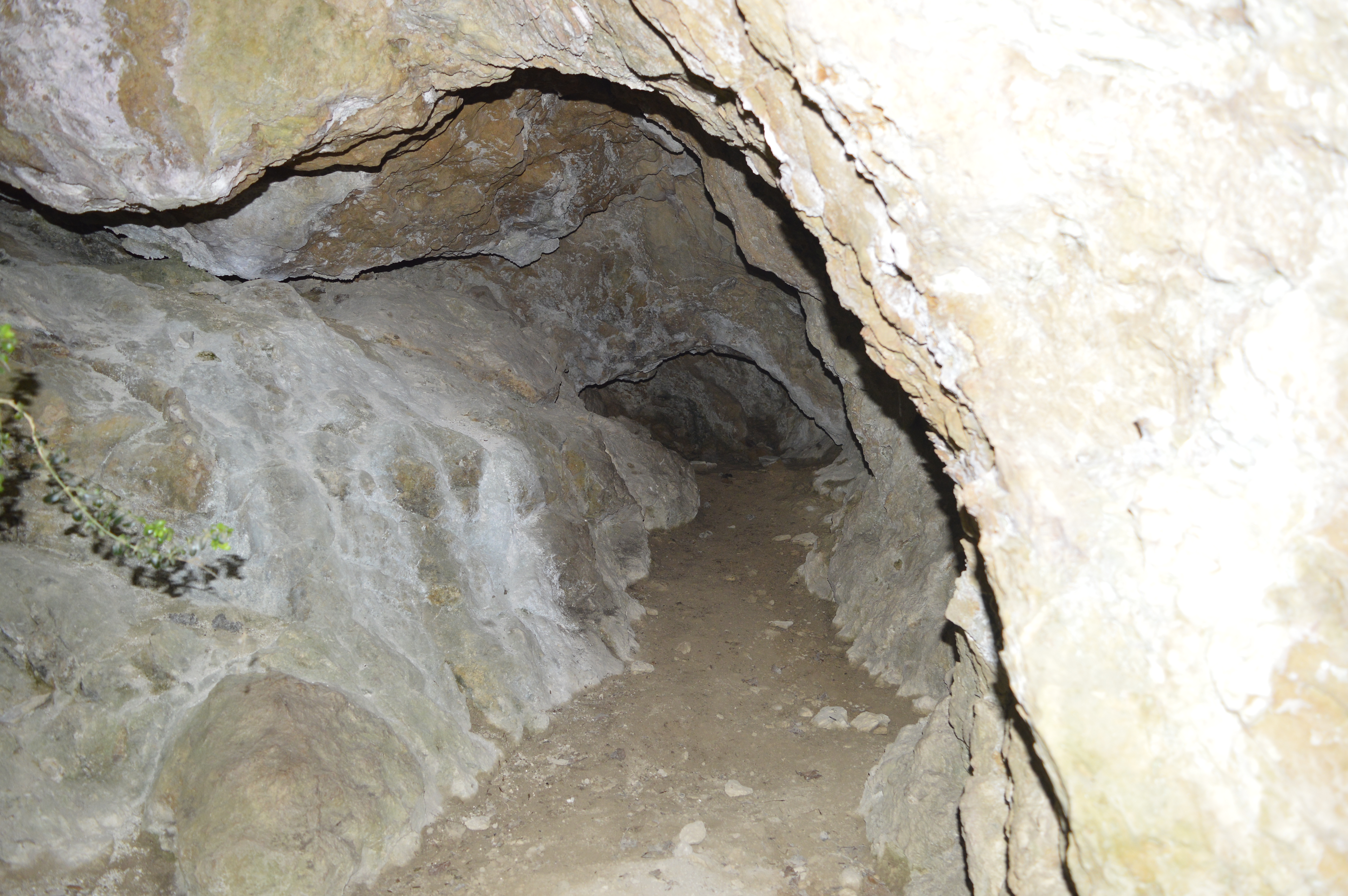 Barmo dal Barsoulin, toponimo