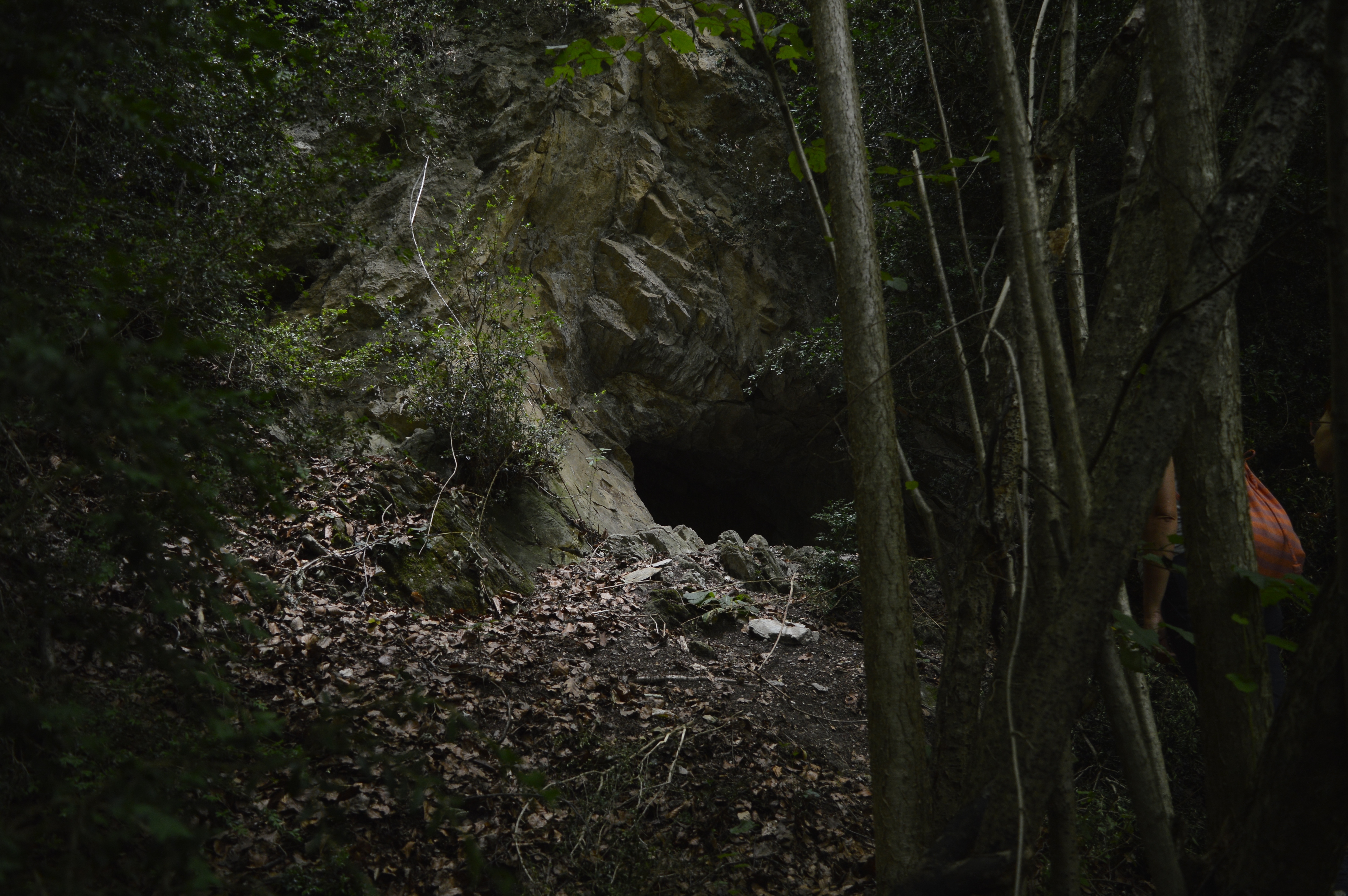 Barmo dal Sarvanot, toponimo