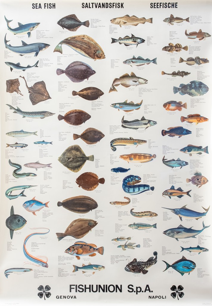 Acciugai. Manifesto pubblicitario. Sea Fish, Fishunion s.p.a Genova, Napoli