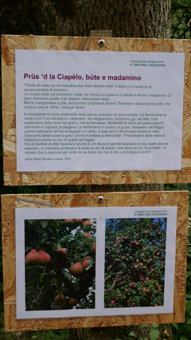 Bùte, Madamìno, Prüs de la Ciapèlo