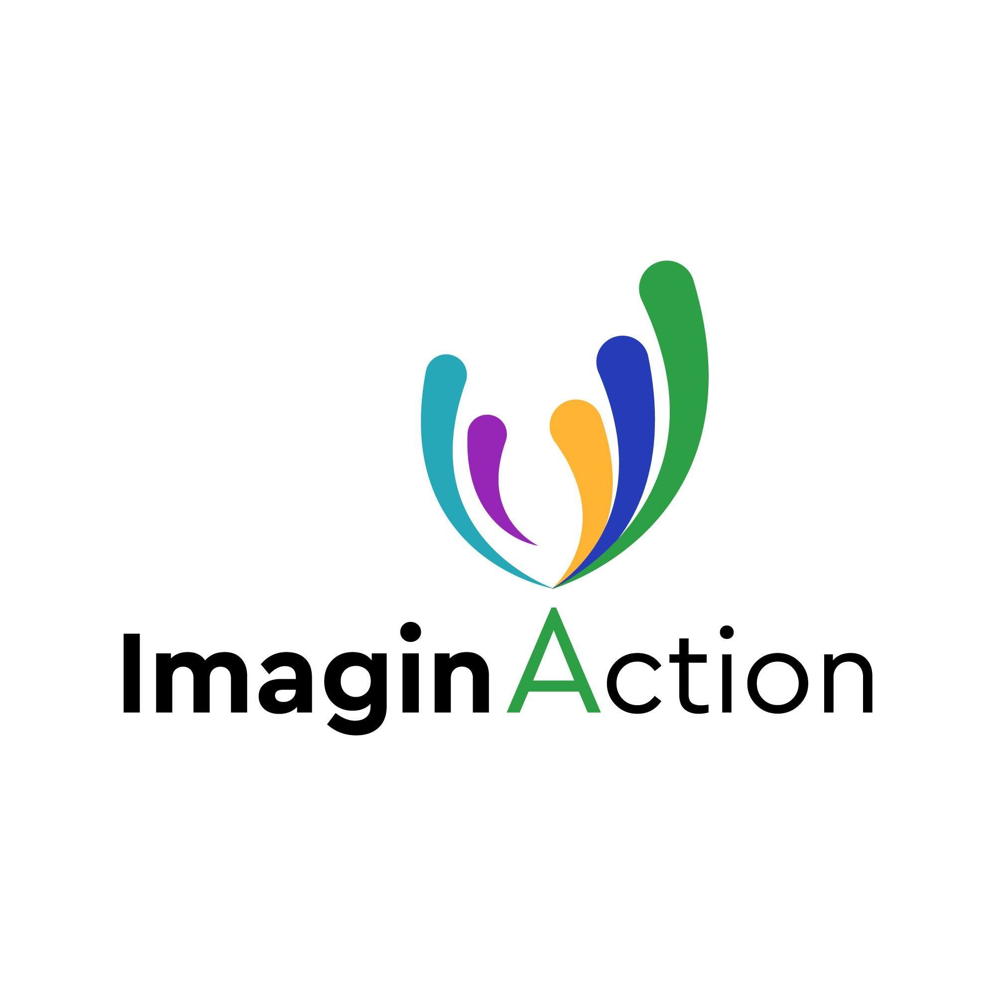 Uri Noy Meir (ImaginAction Network)
