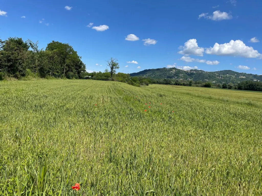 Farina del nostro sacco