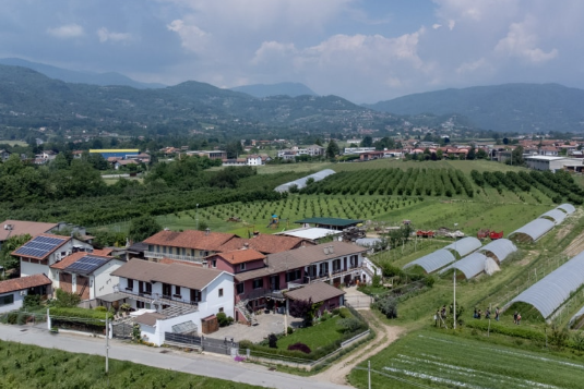 Azienda agricola il Palaset