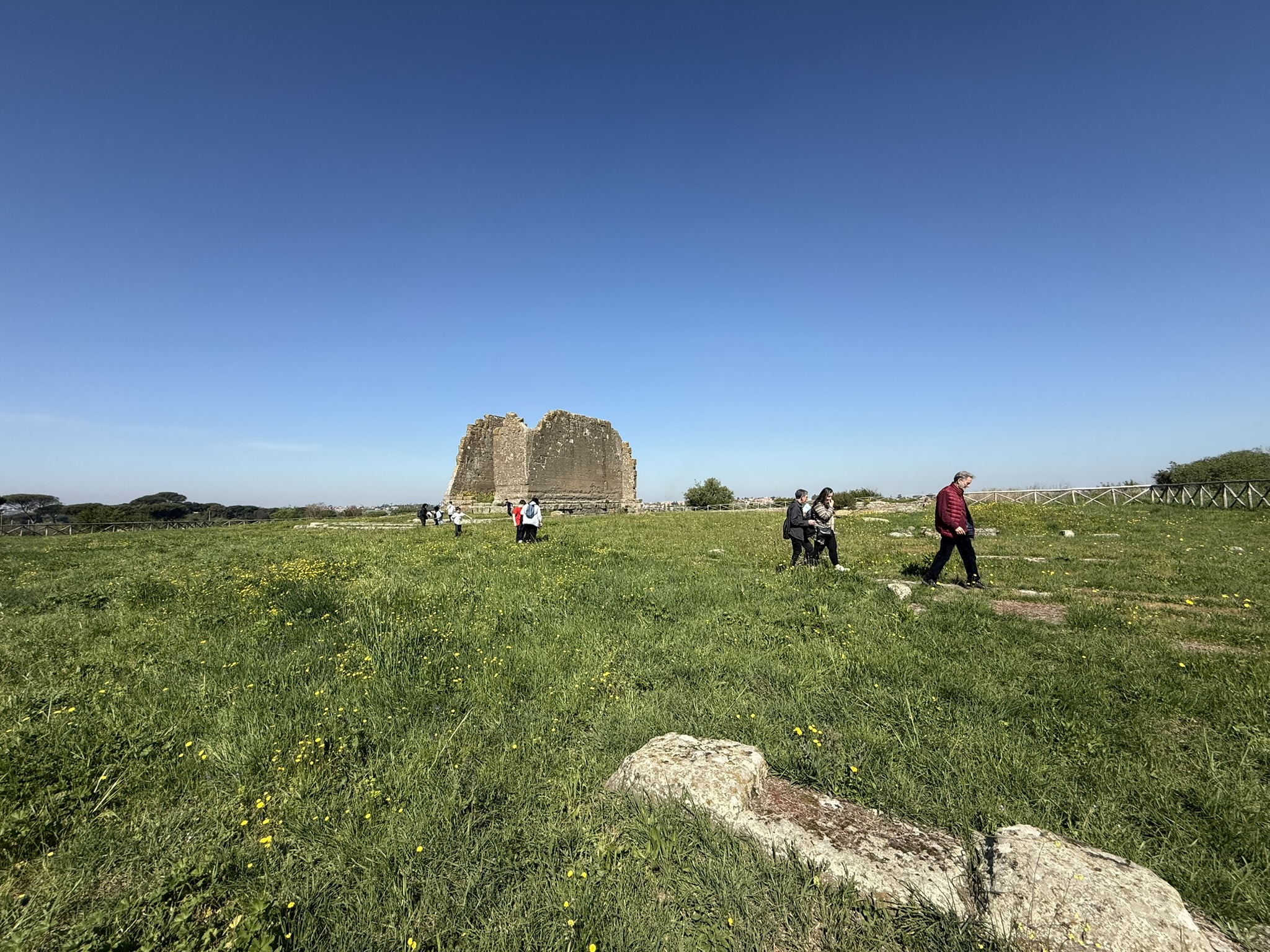 Piante selvatiche intorno al tempio di Giunone Gabina