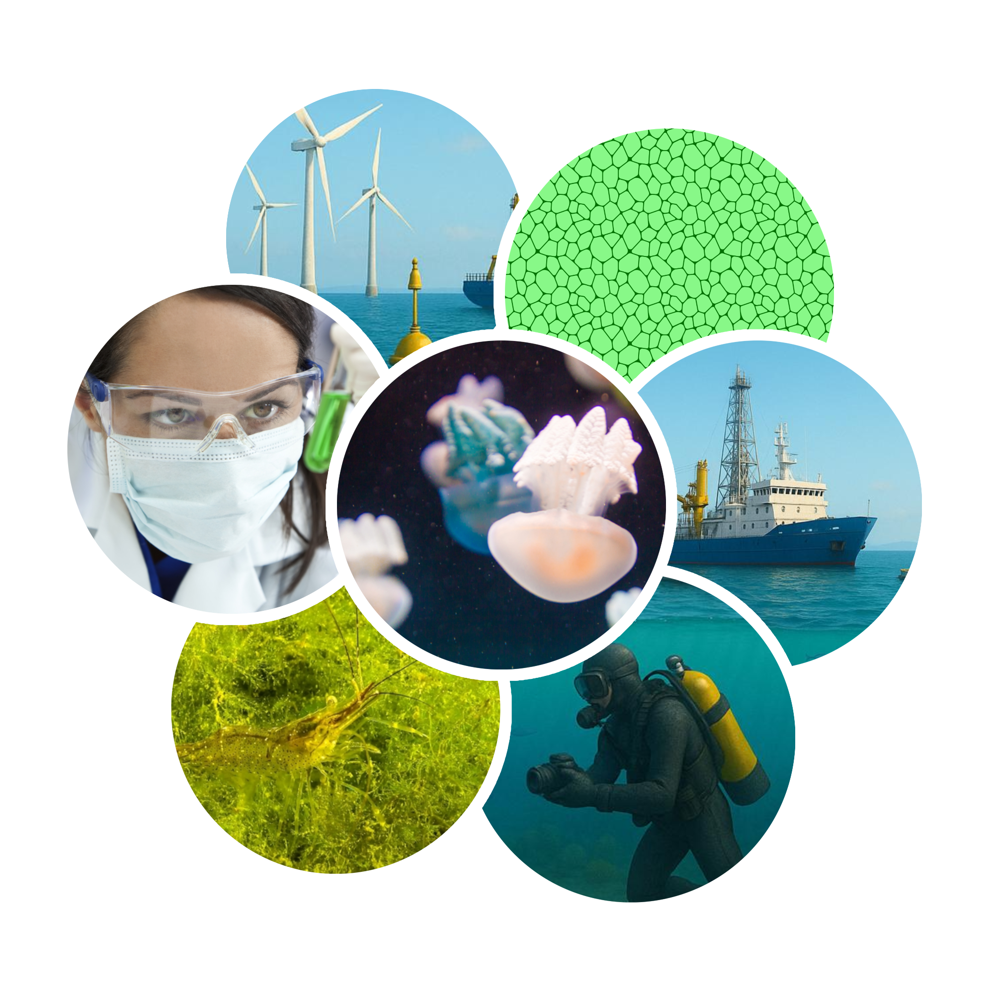 DigiBlue: Co-Creating Stories for Blue Citizenship