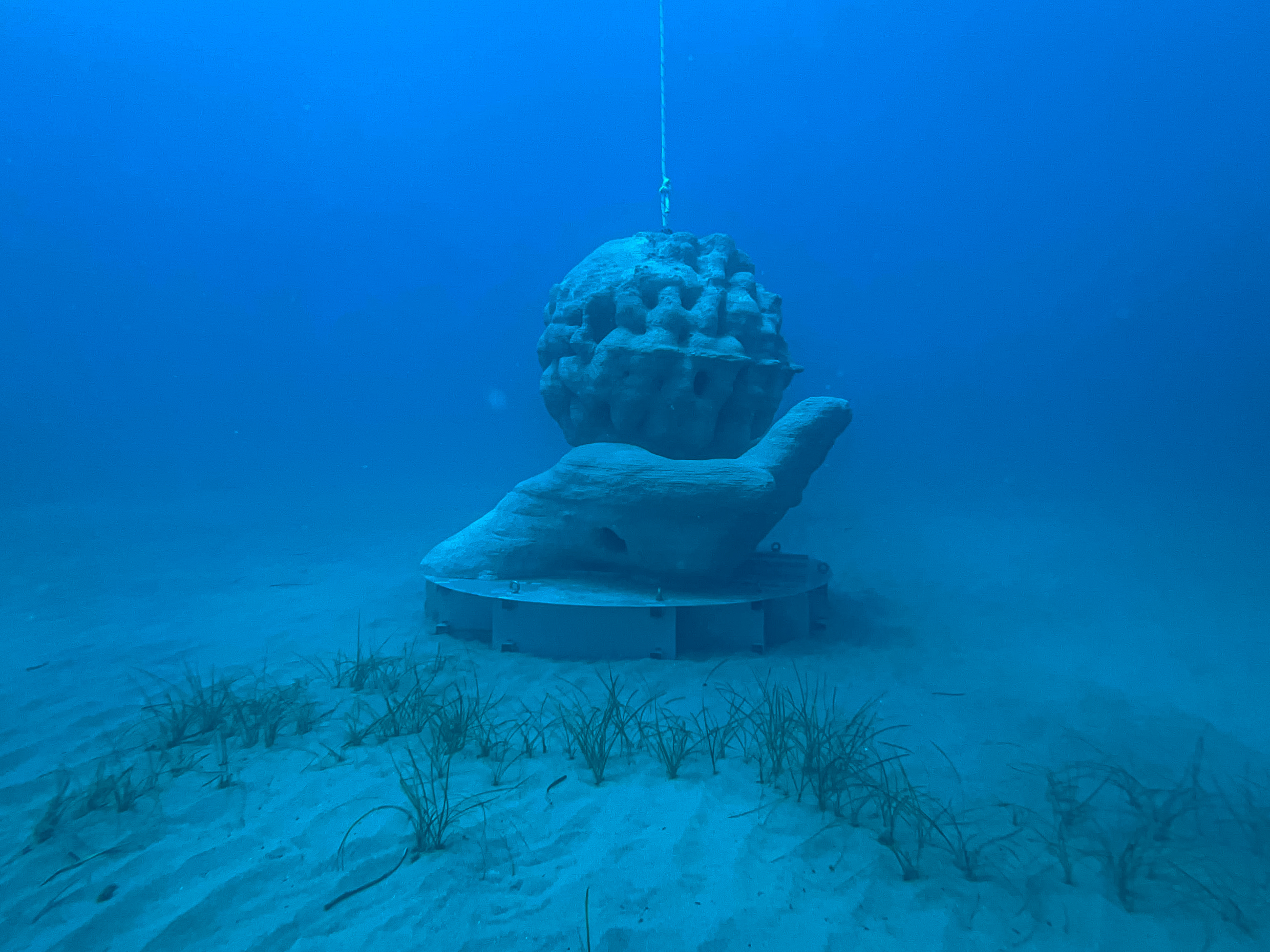 Posidonia Art Reef