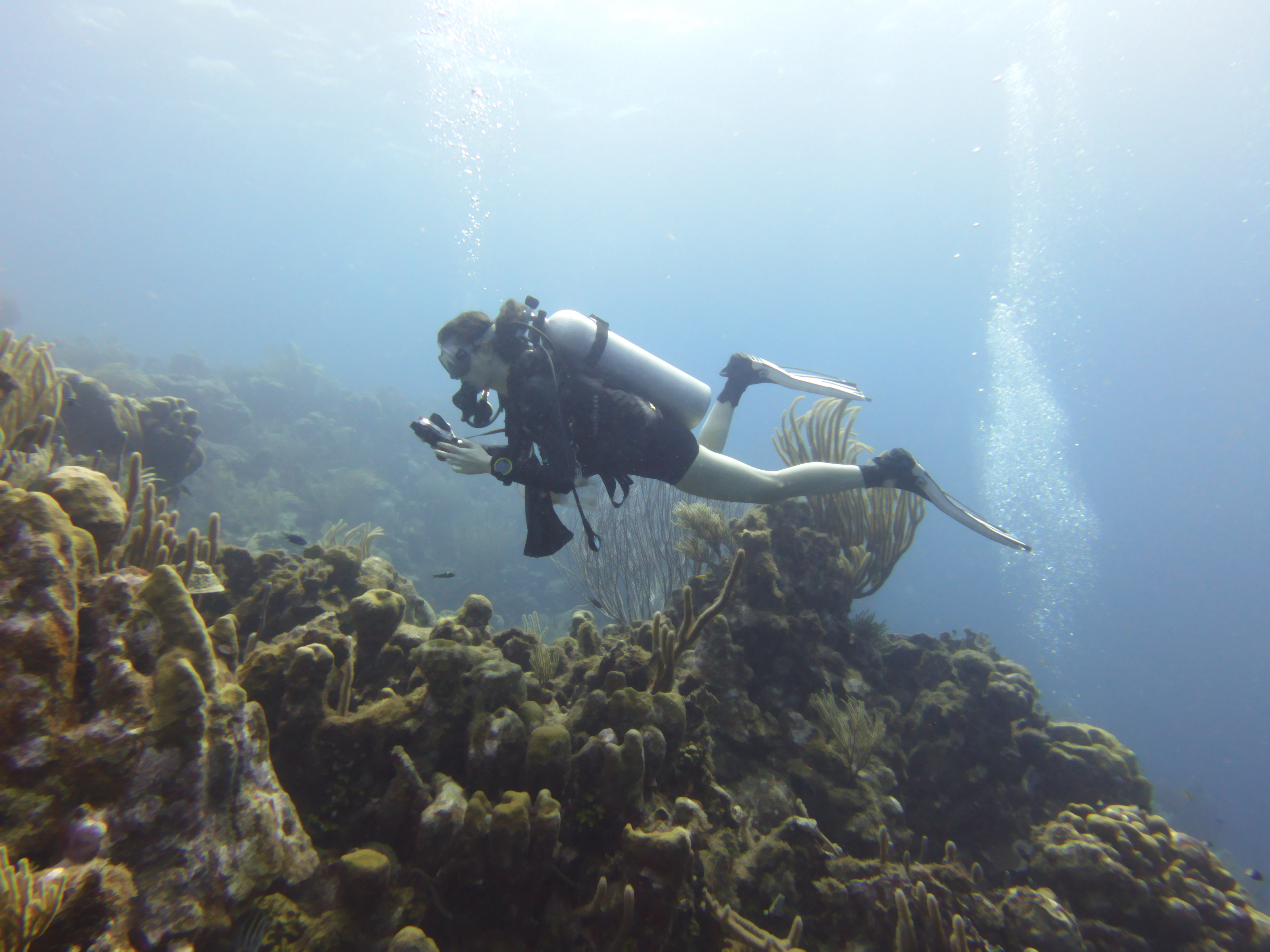 LIPSea-M - Laboratory of Potential Images of the Mediterranean Sea