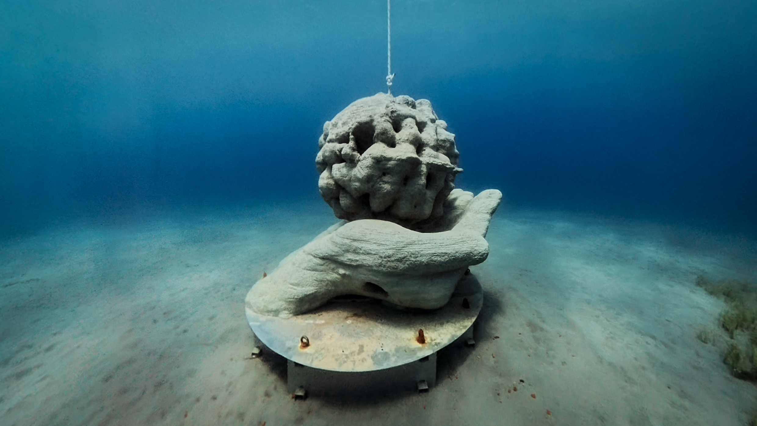 Posidonia Art Reef
