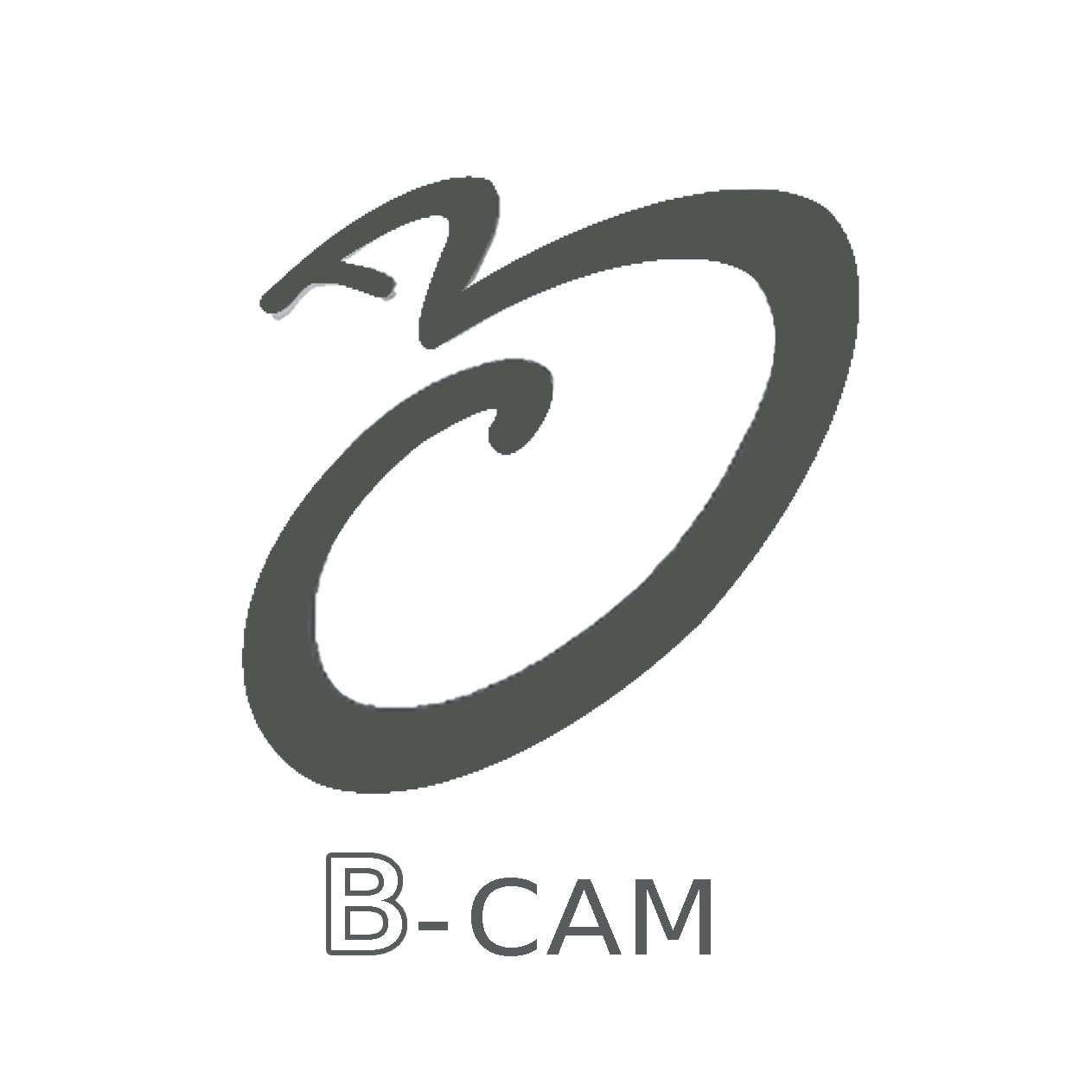 B-CAM Cooperativa Sociale 
