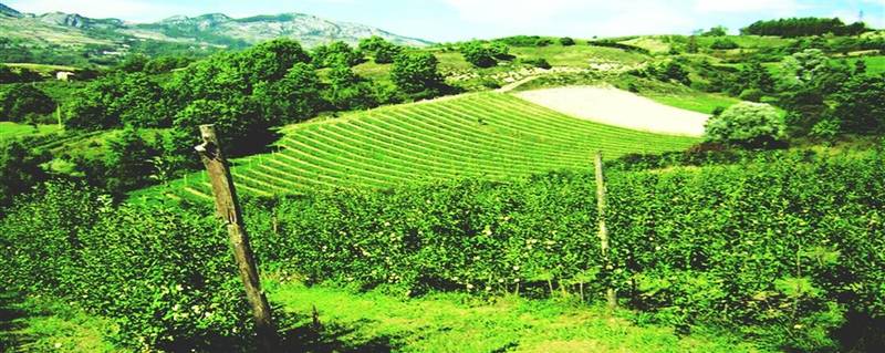 CASTEL DEL GIUDICE | Il “Patto” funziona