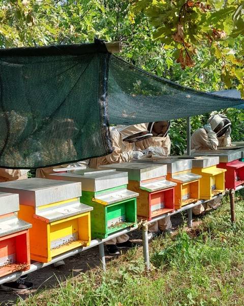Oasi Naturalistica Laghetti Di Tolcinasco