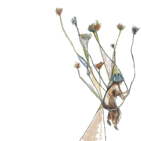 Illustrazioni  IperBosco 
