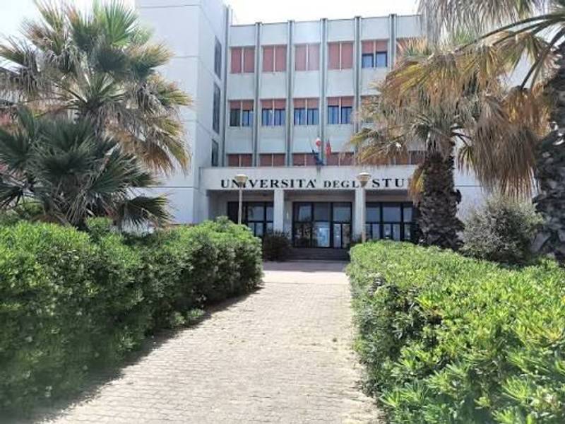 Università